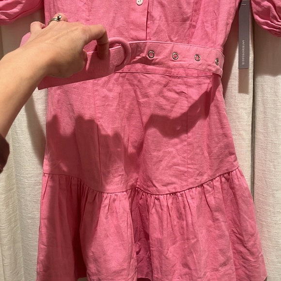 Anthropologie S/W/F Violetta Linen Belted Mini Pink Shirtdress Dress - Picture 6 of 12